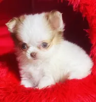 processed/d04018d9-b56d-442c-a28d-34e6acbf197e/listing/683bc232-01f6-436c-8e6f-cd763426e443/6b06002a-1bd7-4d7e-a59d-c11c0753ad44