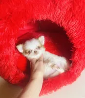 processed/d04018d9-b56d-442c-a28d-34e6acbf197e/listing/683bc232-01f6-436c-8e6f-cd763426e443/d66b55fb-e478-4e62-95fd-cd80e7c954ee