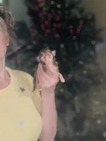 Xxsmall Micro Pocket Chica, a female Chihuahua for sale in Houston, TX – Photo 2 of 10