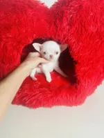 processed/d04018d9-b56d-442c-a28d-34e6acbf197e/listing/c894cc44-a8de-4309-baaa-26bb52d9e81c/83badf8b-5750-4c07-b9c1-6640bc0ba77c