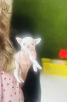 processed/d04018d9-b56d-442c-a28d-34e6acbf197e/listing/c894cc44-a8de-4309-baaa-26bb52d9e81c/8b423de3-a746-4eb6-a738-7286ee98d69f