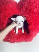 processed/d04018d9-b56d-442c-a28d-34e6acbf197e/listing/c894cc44-a8de-4309-baaa-26bb52d9e81c/d4ce3deb-3350-4e74-872b-8c184ff857b1