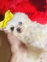 processed/d04018d9-b56d-442c-a28d-34e6acbf197e/listing/cb673b76-9ebf-4cac-9c05-975a1e1f2905/2b91a955-a771-43aa-b194-e8c3aa9ac589