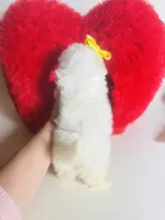 processed/d04018d9-b56d-442c-a28d-34e6acbf197e/listing/cb673b76-9ebf-4cac-9c05-975a1e1f2905/89d0f3ba-5445-4f49-bd5a-9bb8c1b5114d