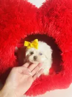 processed/d04018d9-b56d-442c-a28d-34e6acbf197e/listing/cb673b76-9ebf-4cac-9c05-975a1e1f2905/8c57c7f6-1684-4ca3-9e03-842e33e7c75c