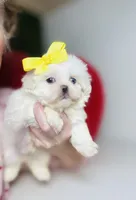 processed/d04018d9-b56d-442c-a28d-34e6acbf197e/listing/cb673b76-9ebf-4cac-9c05-975a1e1f2905/9786774b-2a66-467c-93f0-ca97e55adf6c