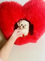 processed/d04018d9-b56d-442c-a28d-34e6acbf197e/listing/fe417443-ca40-49a4-87fc-d8efe0dea7ee/61093fe0-6849-4a9f-b84f-89b35064df8c