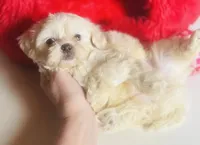 processed/d04018d9-b56d-442c-a28d-34e6acbf197e/listing/fe417443-ca40-49a4-87fc-d8efe0dea7ee/6194846b-007c-46a3-aa60-9c2e18ee3211