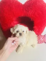 processed/d04018d9-b56d-442c-a28d-34e6acbf197e/listing/fe417443-ca40-49a4-87fc-d8efe0dea7ee/751c4e0a-d023-4fdb-9432-e588205458c8