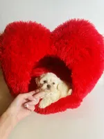 processed/d04018d9-b56d-442c-a28d-34e6acbf197e/listing/fe417443-ca40-49a4-87fc-d8efe0dea7ee/90281938-1b59-498e-8a6f-ac629cd9de52