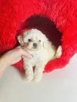 processed/d04018d9-b56d-442c-a28d-34e6acbf197e/listing/fe417443-ca40-49a4-87fc-d8efe0dea7ee/ef95c9ce-d283-4a0b-b620-ee3d5e129d02