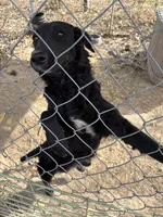 processed/d04aa07d-07fb-4057-b8a6-8637f6481ee9/listing/1f060ee3-09c0-4132-8e41-a2559e8a47fe/3cfb5ae2-8c5c-42e8-ae33-041a203a9f8f