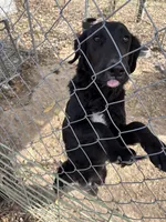 processed/d04aa07d-07fb-4057-b8a6-8637f6481ee9/listing/1f060ee3-09c0-4132-8e41-a2559e8a47fe/82dcac30-f10f-4d0c-b238-28f13edb18c6