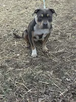 processed/d04aa07d-07fb-4057-b8a6-8637f6481ee9/listing/547247ce-fd2d-4914-bb8b-74a38e6e3523/a85b44ec-0127-49a0-bf36-096d1fff6fc3