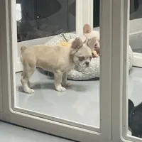 processed/d05192c9-9749-490c-ad9a-69c5fe3af39b/facility/08364095-9ff0-4ee0-a4c6-cd5e8b8430c3