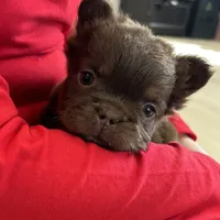 processed/d05192c9-9749-490c-ad9a-69c5fe3af39b/facility/32ef83de-3867-41fd-86c9-c44f8f10e204