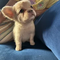 processed/d05192c9-9749-490c-ad9a-69c5fe3af39b/facility/8fc539d7-9c7d-402e-b78e-2e0a1e83027a