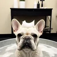 processed/d05192c9-9749-490c-ad9a-69c5fe3af39b/facility/929aa74d-a0d6-4bad-b074-c82f32441c45