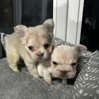 processed/d05192c9-9749-490c-ad9a-69c5fe3af39b/facility/96ebc39f-3728-422e-926c-3c0a991b419e