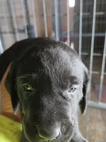 processed/d051f837-71c5-4ade-8e68-a215a2d9ddee/listing/89ad19ab-abe2-4f85-8a3a-6accb98b80f8/321923c6-c9e0-4206-be7a-533e68abaf1c