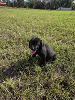 processed/d051f837-71c5-4ade-8e68-a215a2d9ddee/listing/89ad19ab-abe2-4f85-8a3a-6accb98b80f8/6c79a2e5-8dc7-4196-817e-bf8eafcf8057