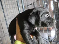 processed/d051f837-71c5-4ade-8e68-a215a2d9ddee/listing/89ad19ab-abe2-4f85-8a3a-6accb98b80f8/81785277-c735-46e4-8240-9374f19d8d7f