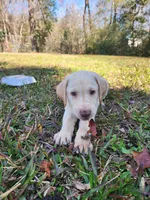 processed/d051f837-71c5-4ade-8e68-a215a2d9ddee/listing/fd4a42b2-b529-42bc-85f3-8a191a5621d3/6655838f-e8d4-4241-b9e7-1dfcf8451eb0