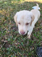 processed/d051f837-71c5-4ade-8e68-a215a2d9ddee/listing/fd4a42b2-b529-42bc-85f3-8a191a5621d3/86f42c81-9ad5-4e11-8a6c-0e9a71fdb6b1