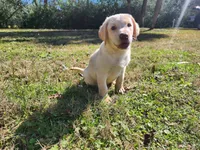 processed/d051f837-71c5-4ade-8e68-a215a2d9ddee/listing/fd4a42b2-b529-42bc-85f3-8a191a5621d3/d005cdf0-1703-4d0a-a152-3ec694210259