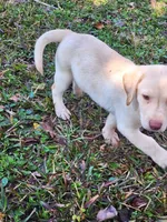 processed/d051f837-71c5-4ade-8e68-a215a2d9ddee/listing/fd4a42b2-b529-42bc-85f3-8a191a5621d3/e433593d-f788-4cc2-8991-d79034c73e59