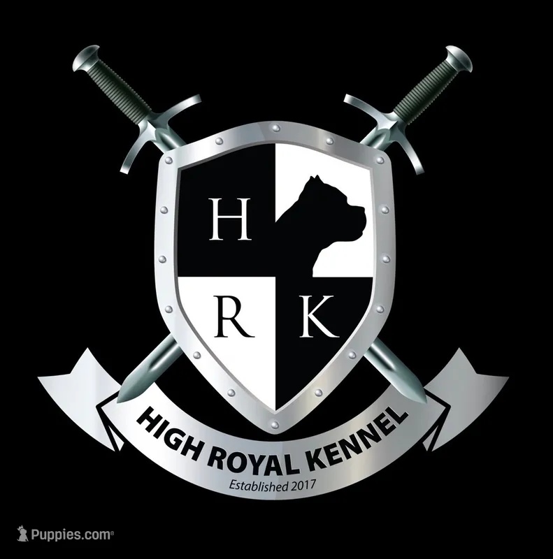 HIGH ROYAL KENNEL – Cane Corso puppy for sale in Ocala, FL