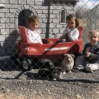 processed/d05ed23b-1a5e-4362-8a3b-8e91a07c8eb1/facility/1168c32d-fdde-46ee-b386-5ecb95ce6e2d