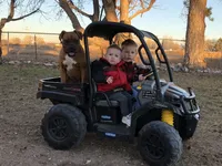 processed/d05ed23b-1a5e-4362-8a3b-8e91a07c8eb1/facility/705cf242-81f7-4a92-8dee-3560bf89cad0