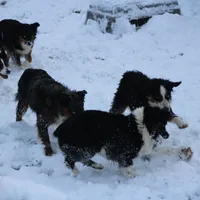 processed/d05ed23b-1a5e-4362-8a3b-8e91a07c8eb1/facility/9d6c308d-8522-450e-8458-e66bbd6e6d19