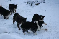 processed/d05ed23b-1a5e-4362-8a3b-8e91a07c8eb1/facility/9d6c308d-8522-450e-8458-e66bbd6e6d19