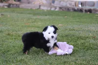 processed/d05ed23b-1a5e-4362-8a3b-8e91a07c8eb1/listing/10df1f04-966c-4b02-8ce6-1c75cb9d5b79/65e797c8-ce97-4063-9533-d19002dc8709