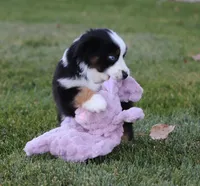 processed/d05ed23b-1a5e-4362-8a3b-8e91a07c8eb1/listing/10df1f04-966c-4b02-8ce6-1c75cb9d5b79/924381c0-e0a8-42da-90b8-aa0c71f6fc04