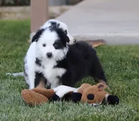 processed/d05ed23b-1a5e-4362-8a3b-8e91a07c8eb1/listing/10df1f04-966c-4b02-8ce6-1c75cb9d5b79/b0639bac-ce41-4914-a623-846ef0b17d54