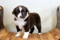 processed/d05ed23b-1a5e-4362-8a3b-8e91a07c8eb1/listing/44766ef7-c90d-4901-981e-8e98372da39a/4b0b59d4-df76-4b9b-b4d9-05e77b5b2de1