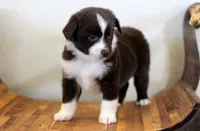 processed/d05ed23b-1a5e-4362-8a3b-8e91a07c8eb1/listing/44766ef7-c90d-4901-981e-8e98372da39a/68090c66-d2d2-4282-b684-c36162eeaa28