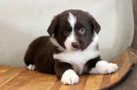 processed/d05ed23b-1a5e-4362-8a3b-8e91a07c8eb1/listing/44766ef7-c90d-4901-981e-8e98372da39a/6fe271e6-7b85-48c0-9c81-cbbacca71c47