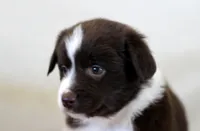 processed/d05ed23b-1a5e-4362-8a3b-8e91a07c8eb1/listing/44766ef7-c90d-4901-981e-8e98372da39a/a7511dd4-4b00-453f-8f0f-d7b2c13c0679