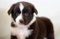 processed/d05ed23b-1a5e-4362-8a3b-8e91a07c8eb1/listing/44766ef7-c90d-4901-981e-8e98372da39a/cce3878c-0be9-4dd1-a08b-5caa452cf6f0