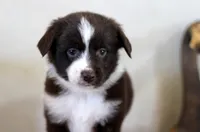 processed/d05ed23b-1a5e-4362-8a3b-8e91a07c8eb1/listing/44766ef7-c90d-4901-981e-8e98372da39a/e59b49df-d051-498c-ab76-2dd447445404