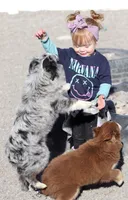 processed/d05ed23b-1a5e-4362-8a3b-8e91a07c8eb1/listing/48485fc6-2caf-4b61-94b5-4c7c8e7351f0/8abdb23b-52a7-48b4-923d-356cf79fb945