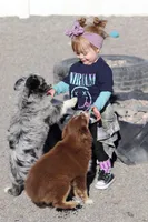 processed/d05ed23b-1a5e-4362-8a3b-8e91a07c8eb1/listing/48485fc6-2caf-4b61-94b5-4c7c8e7351f0/b3df57c4-2e9c-4773-a0f4-a5f668af1994