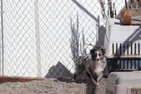 processed/d05ed23b-1a5e-4362-8a3b-8e91a07c8eb1/listing/48485fc6-2caf-4b61-94b5-4c7c8e7351f0/dd54afe3-02c4-4836-9e6d-ec3c78e437db