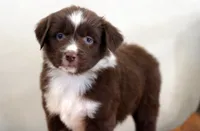 processed/d05ed23b-1a5e-4362-8a3b-8e91a07c8eb1/listing/4e5cb27a-46c9-493a-891b-7c7d82e0a1f4/23249c29-b365-49d5-907c-d8808bc0b762