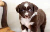 processed/d05ed23b-1a5e-4362-8a3b-8e91a07c8eb1/listing/4e5cb27a-46c9-493a-891b-7c7d82e0a1f4/71417440-2c8d-4604-9de4-450838792511