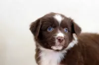 processed/d05ed23b-1a5e-4362-8a3b-8e91a07c8eb1/listing/4e5cb27a-46c9-493a-891b-7c7d82e0a1f4/85e09117-dbbb-4871-b7e1-d405baead16a